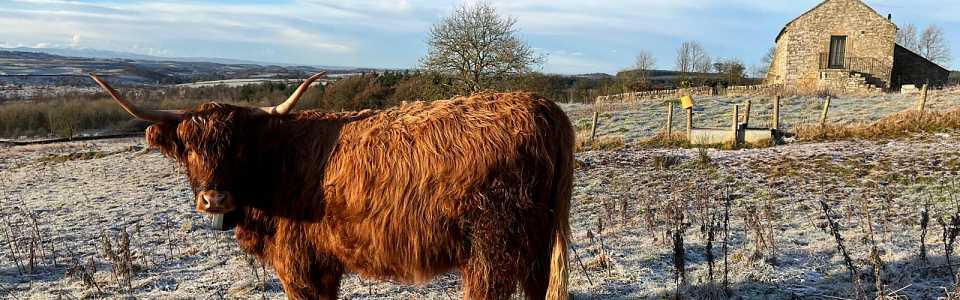 Photo: there are lots of great walks close to West Nichold holiday cottage Gilsland